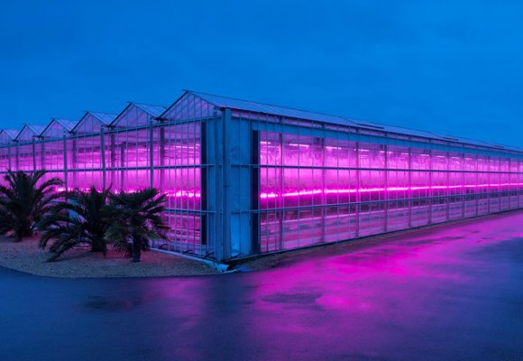 Greenhouse with lights on in the dark